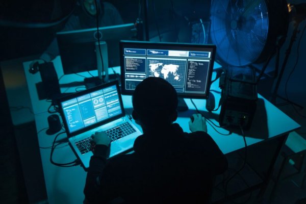 nexus darknet