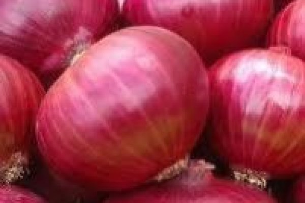 nexus onion